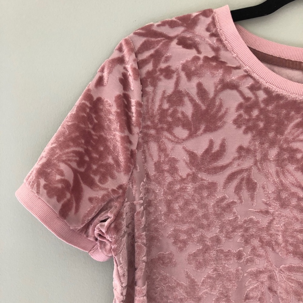 Velvet Top